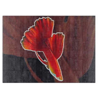 Bettafisk |Aquarium Älskare