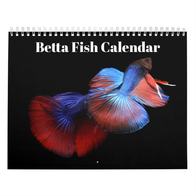 Bettafisk kalender 2027 (Omslag)