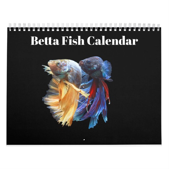 Bettafisk kalender 2027 (Omslag)