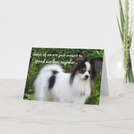 Betydde att vara grattis på kort