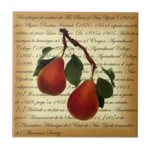 Beurré Clairgeau Pear ~ Ulysses Prentiss Hedrick ~ Kakelplatta