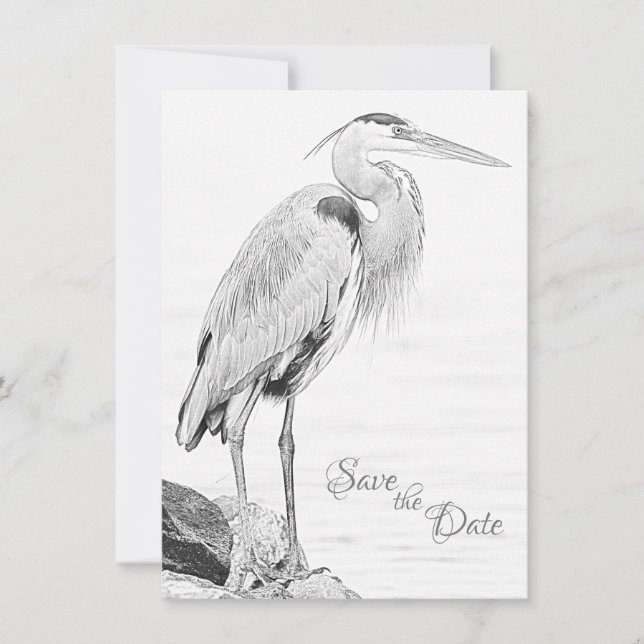 Bevackert Blue Heron Vatten Bird Sketch Bröllop Spara Datumet (Framsida)