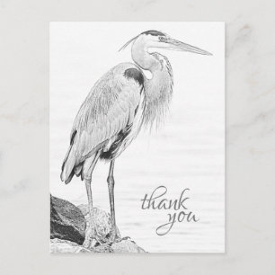 Bevackert Blue Heron Vatten Bird Sketch Tack Vykort