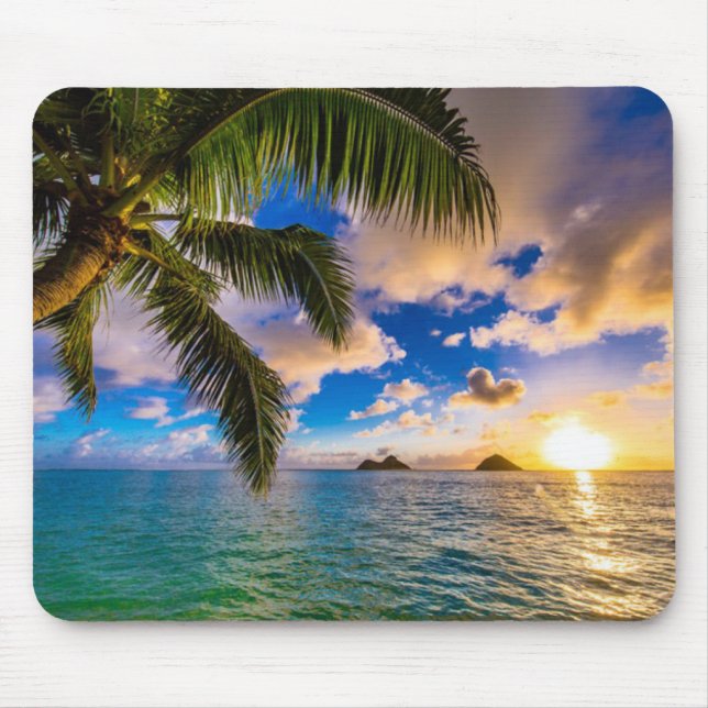 Bevackert Lanikai Beach Hawaii Musmatta (Framsidan)