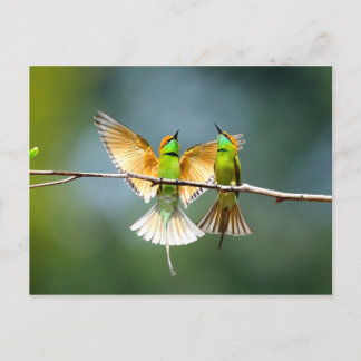 Bevackert Motmot Bird på Gren Vykort