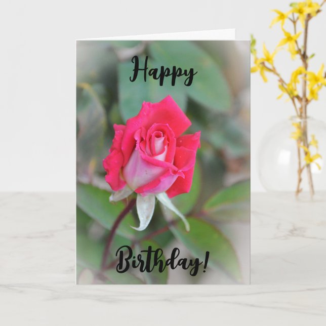 Bevackert Rosa ros Bud Birthday Card Kort (Gul blomma)