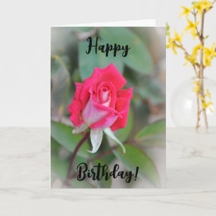 Bevackert Rosa ros Bud Birthday Card Kort