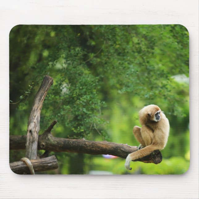 Bevackert White Handed Gibbon a Träd Musmatta (Framsidan)