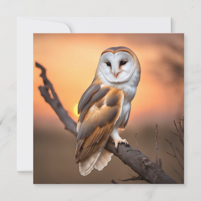 Bevackra Barn Uggla (Framsida)