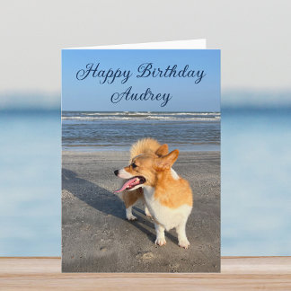 Bevackra Beach Corgi Anpassningsbar Grattis på föd Kort