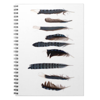 Bevackra Blue Jay Feathers Anteckningsbok
