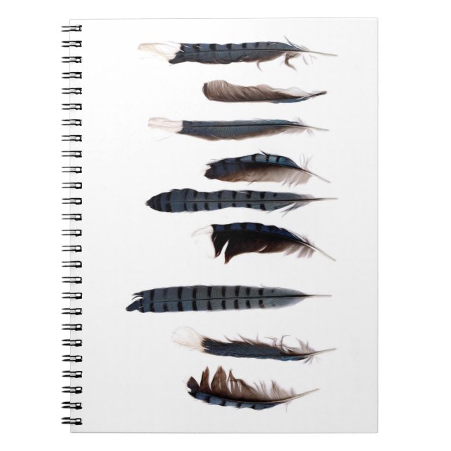 Bevackra Blue Jay Feathers Anteckningsbok (Framsidan)
