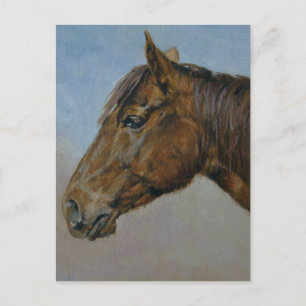 Bevackra Brown Horse Porträtt Vykort
