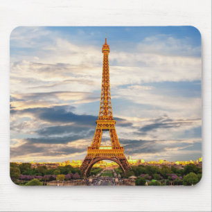 Bevackra Eiffel Torn Paris Frankrike Musmatta