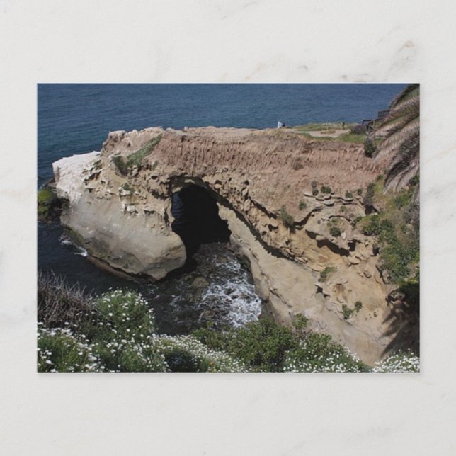 Bevackra La Jolla Vykort (Framsida)