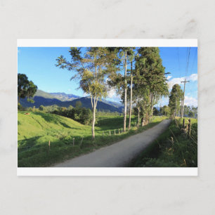 Bevackra land road Salento Colombia Vykort