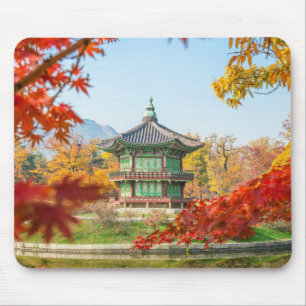 Bevackra Pagoda Gyeongbokgung Seoul Sydkorea Musmatta