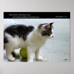 Bevaka dig konsttrycket (för katten) poster