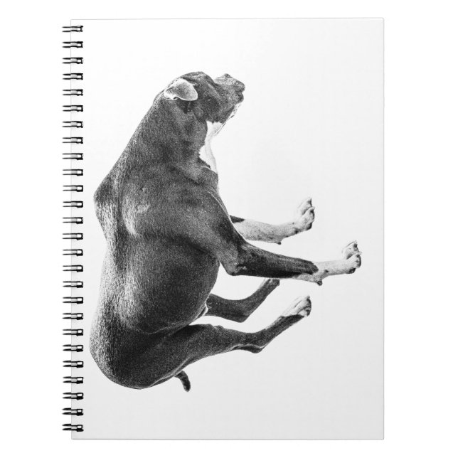 Bevakningsanteckningar för hösten anteckningsbok (Framsidan)