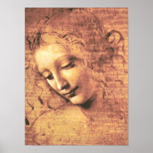 Bevalt Woman av Leonardo da Vinci Poster (Framsidan)