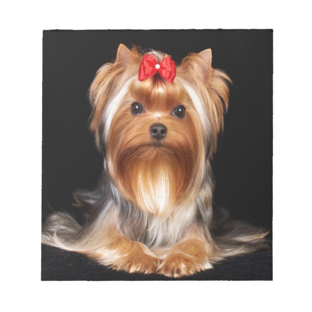 Bevalt Yorkshire Terrier Anteckningsblock (Framsida)