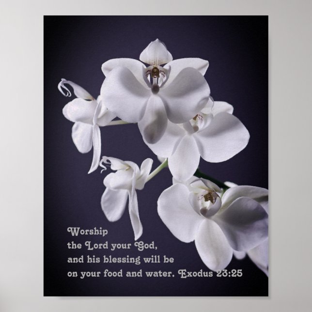 "Bevara Gud er Gud" utvandrar 23:25 Profetik Poster (Framsidan)
