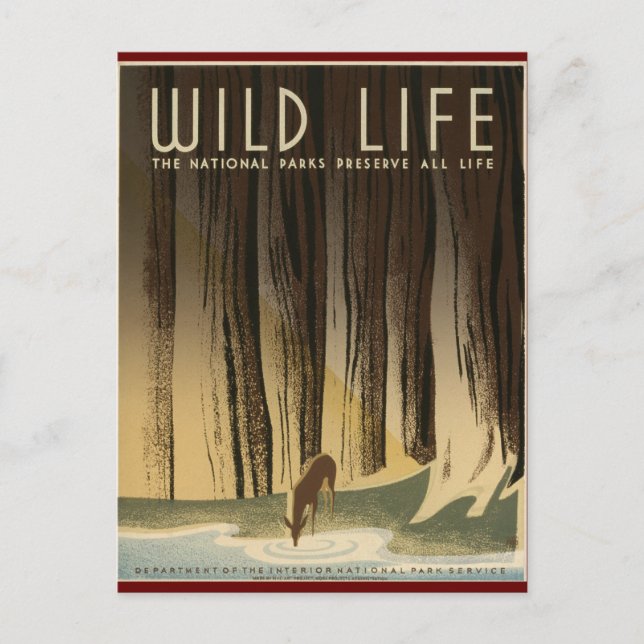 Bevara Vilda djur Vykort (Framsida)