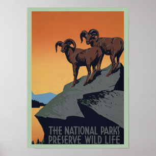 Bevara vintage bergsgetar i Parker Poster