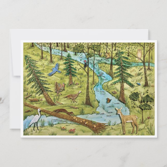 Bevara vykort för naturskydd (Framsida)