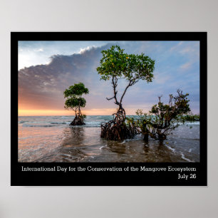 Bevarande av mangrove, foto poster