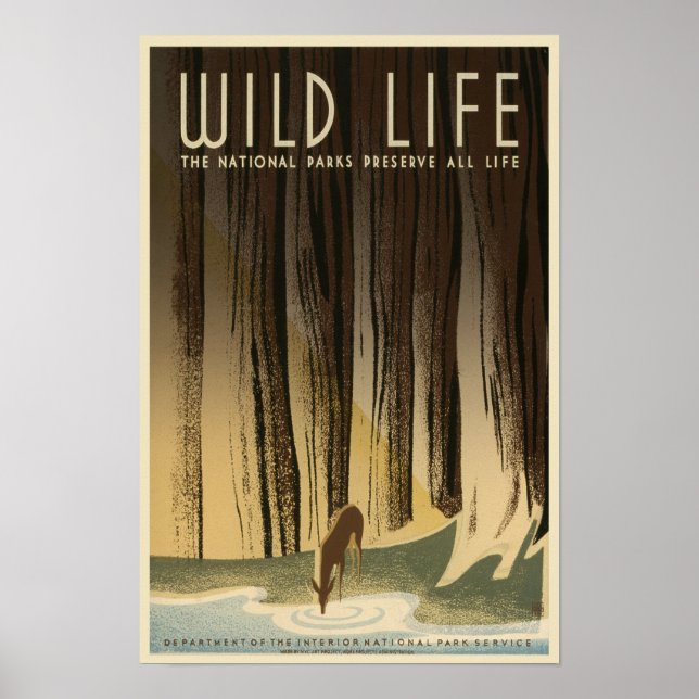 Bevarande av vilda djur - nationalparksservice poster (Framsidan)