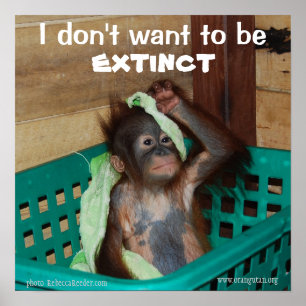 Bevarande av vildlevande Baby Poster