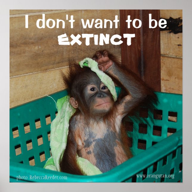 Bevarande av vildlevande Baby Poster (Framsidan)