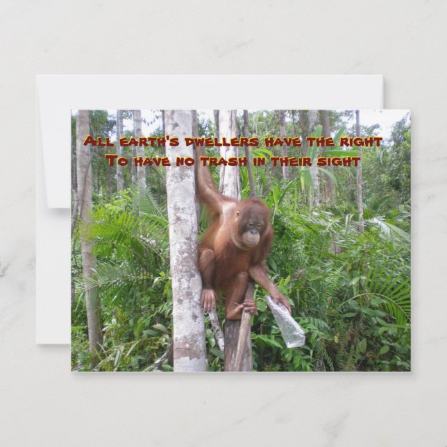 Bevarande, ingen plastisk förorening kort (Framsida)