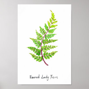 bevattnad dam-färg poster