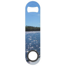 Bevattnar Sparkling blått för sjöVermilion