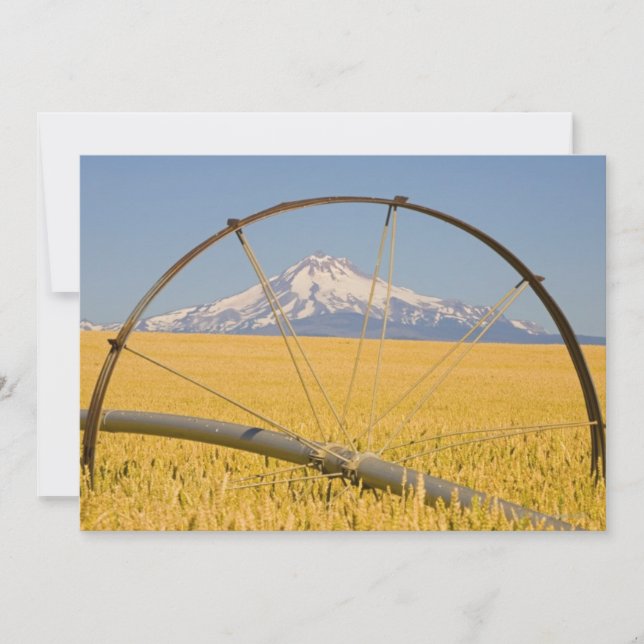 Bevattningsrör i Fält (Framsida)