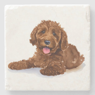 Beverage coaster with Chocolate Labradoodle Stenunderlägg