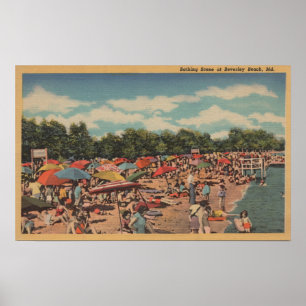 Beverley strand, MD - solbada plats Poster