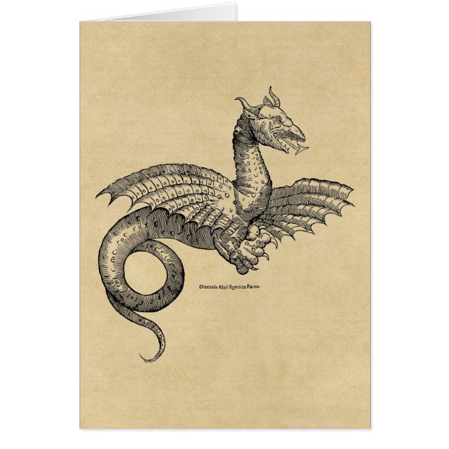 Bevingad drake hälsningskort (Framsidan)