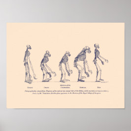 Bevis för människans Ställe i naturen Poster