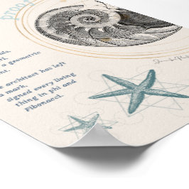 Bevis för säsongsmedelmåttig nautilus fibonacci-de poster