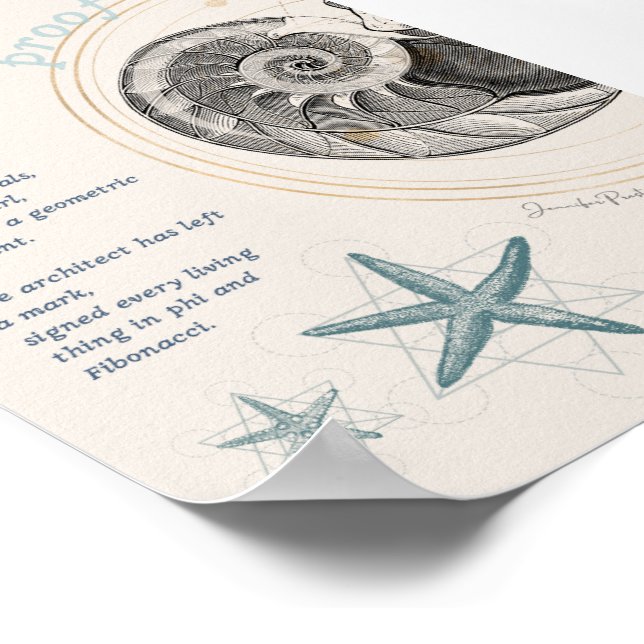 Bevis för säsongsmedelmåttig nautilus fibonacci-de poster (Hörn)