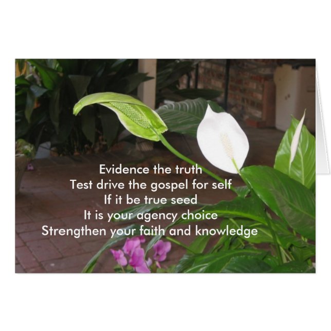 Bevisa sanningen hälsningskort (Framsidan Horizontal)