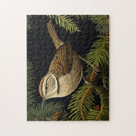 Bewick’s wren on fir branches pussel