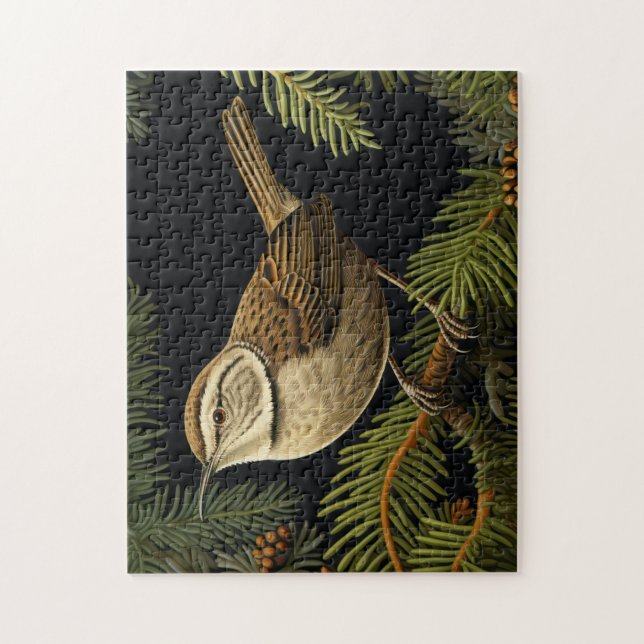 Bewick’s wren on fir branches pussel (Vertikal)