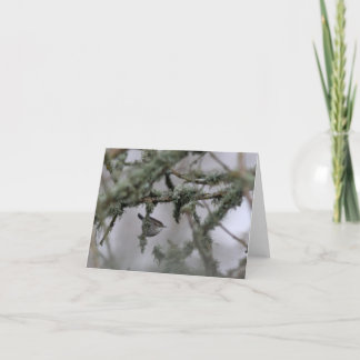 Bewick's Wren and moss Blank Note Card Kort