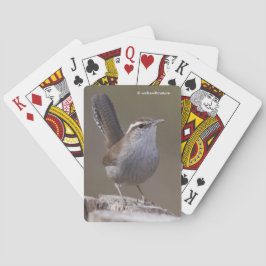 Bewicks Wren Songbird på Treestump Casinokort