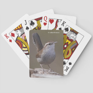 Bewicks Wren Songbird på Treestump Casinokort