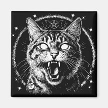 Bewitched Tabby